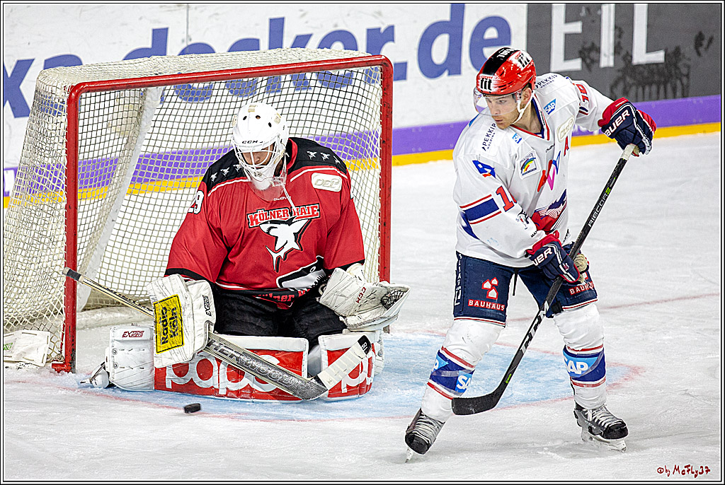 DEL; Koelner Haie - Adler Mannheim, 14.10.2018